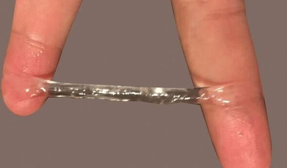 Қыздар жылқыларды